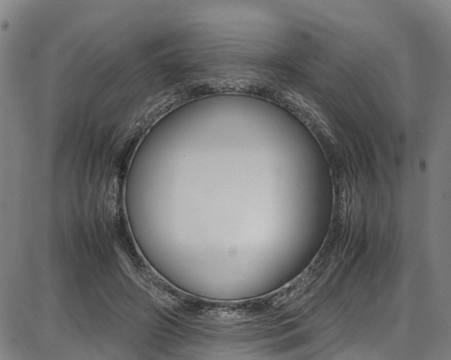 X0000087050498200704181006