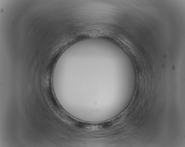 X0000087050499200704181006