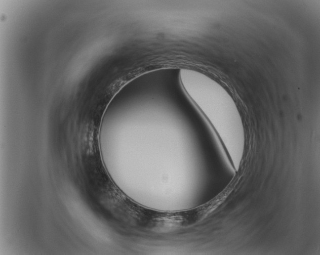 X0000087050525200704181005
