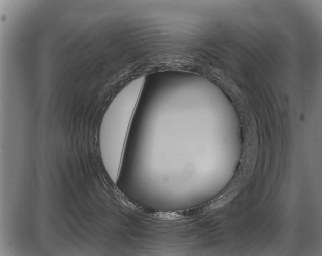 X0000087050528200704181005