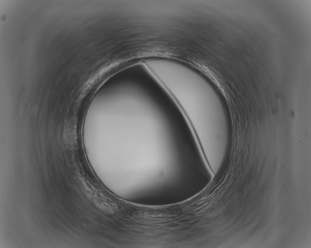 X0000087050531200704181004