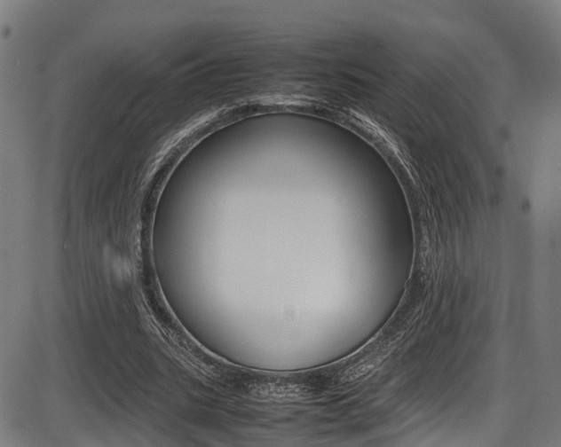 X0000087050535200704181004
