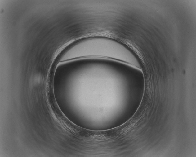 X0000087050536200704181004
