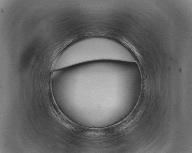 X0000087050537200704181004