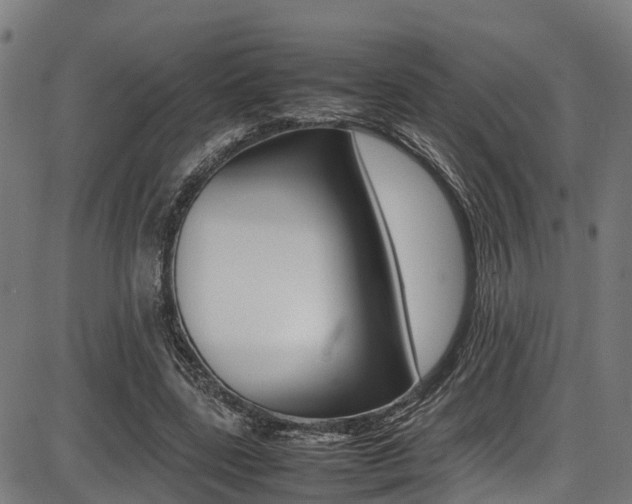 X0000087050539200704181004
