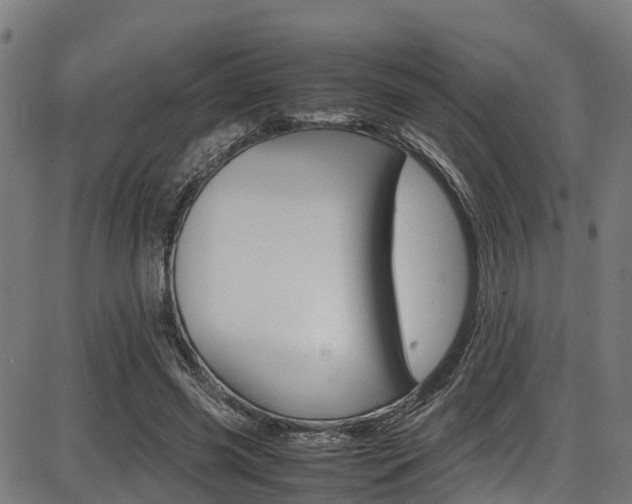 X0000087050541200704181004