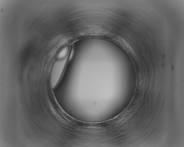 X0000087050542200704181005
