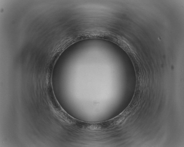 X0000087050546200704181005