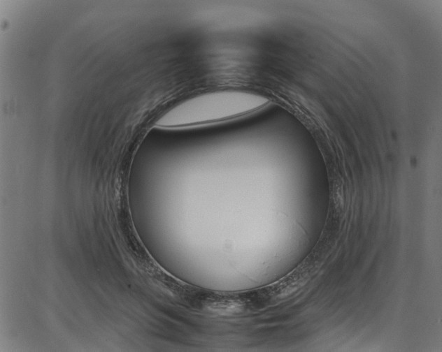 X0000087050551200704181005