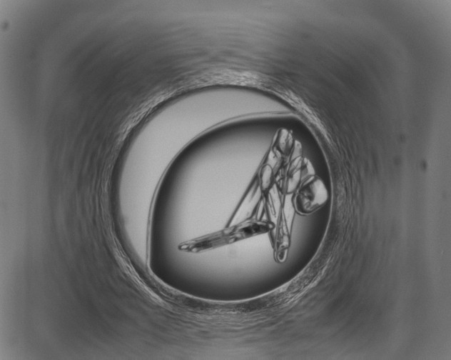 X0000087050581200704181004