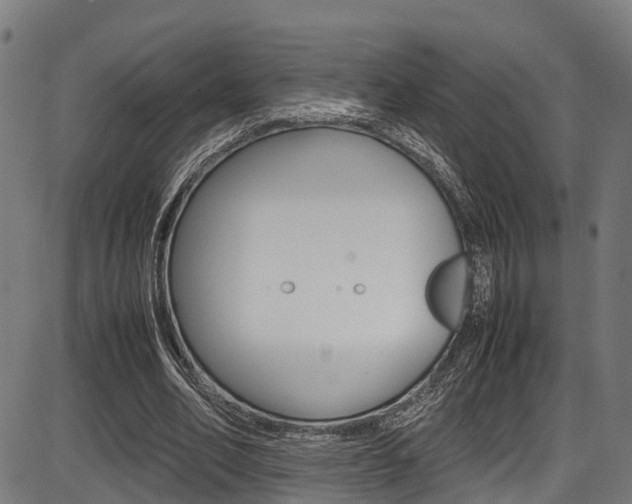 X0000087050582200704181004