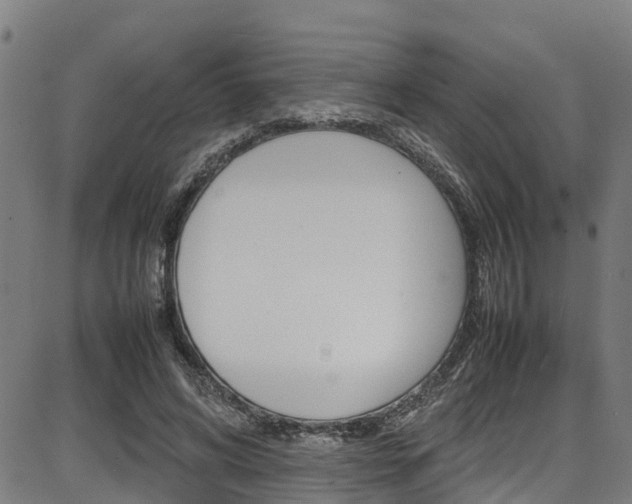 X0000087050592200704181004