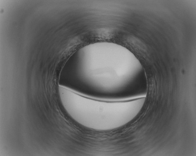 X0000087050608200704181004