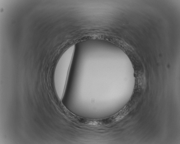 X0000087050611200704181004