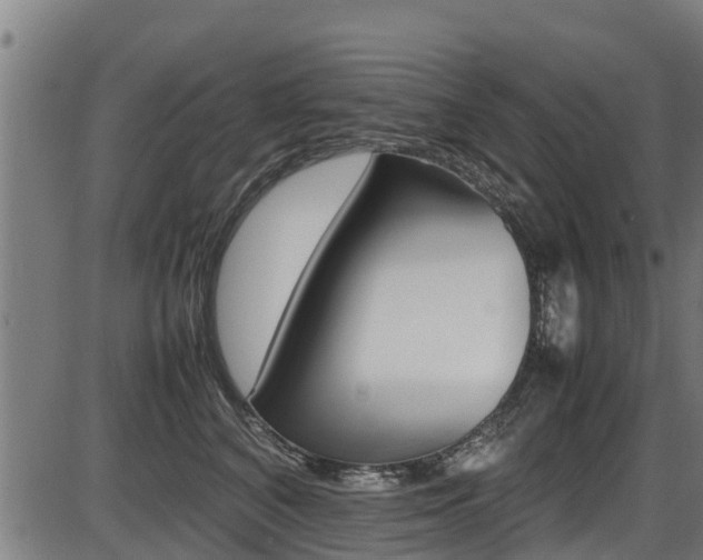 X0000087050616200704181004