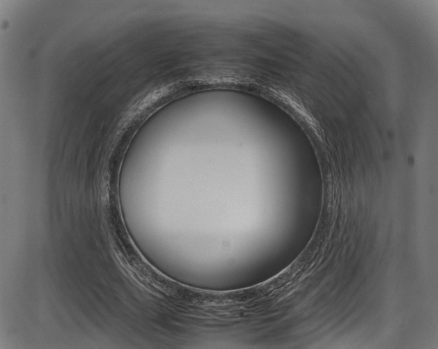 X0000087050631200704181003