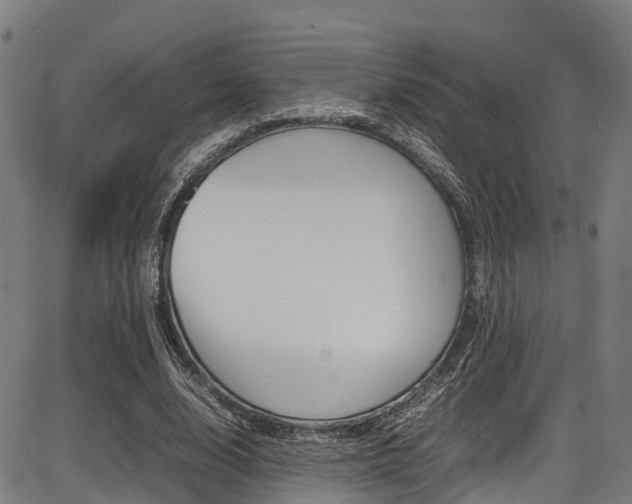 X0000087050632200704181003