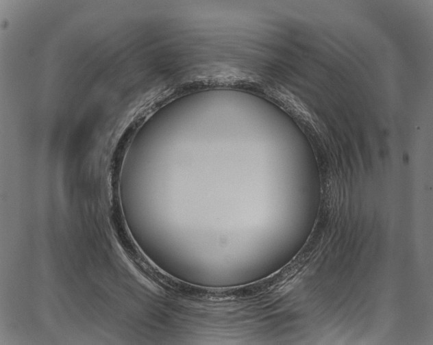 X0000087050638200704181003