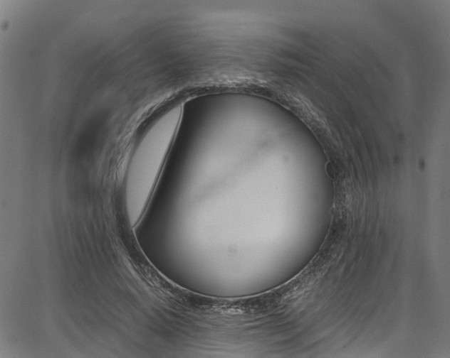 X0000087050640200704181003