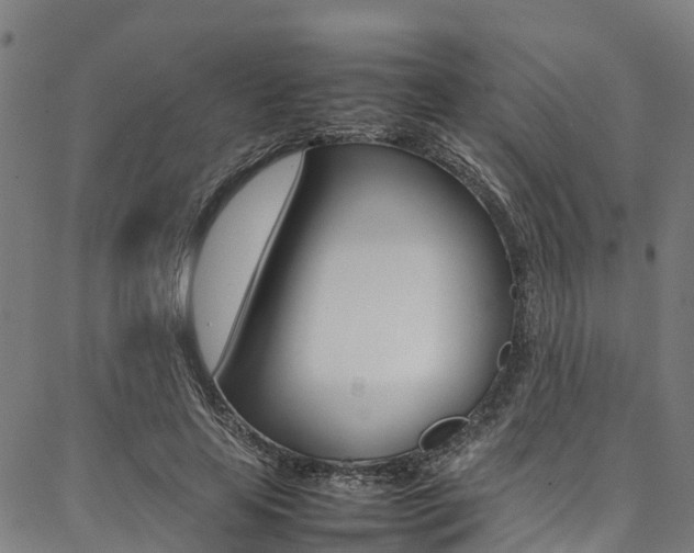 X0000087050641200704181003