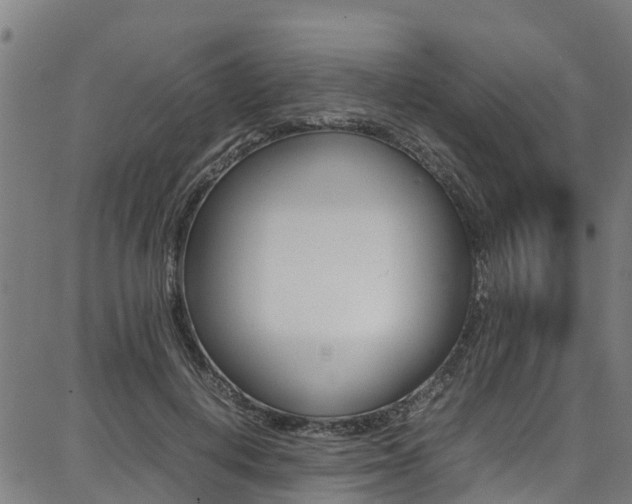 X0000087050648200704181003