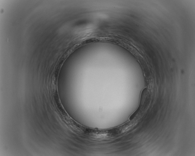 X0000087050651200704181003