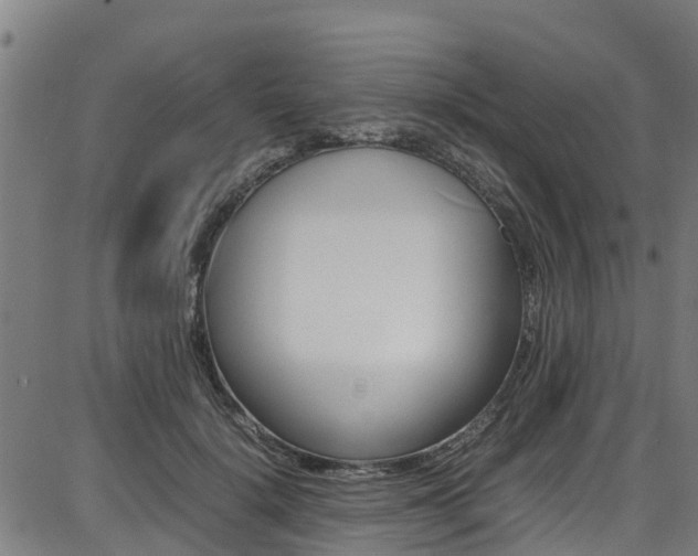 X0000087050652200704181003