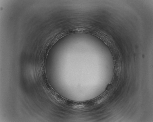 X0000087050653200704181003