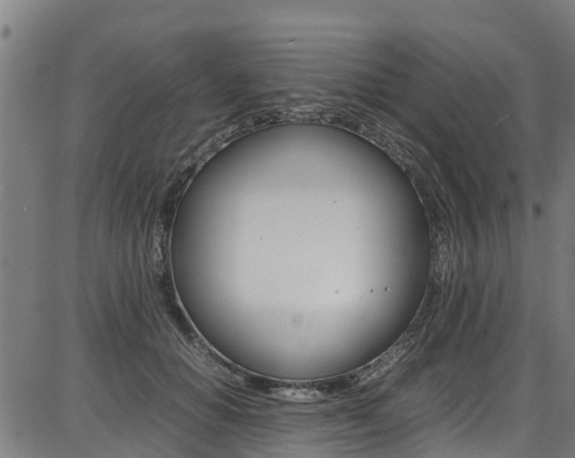 X0000087050654200704181003