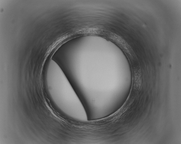 X0000087050674200704181003