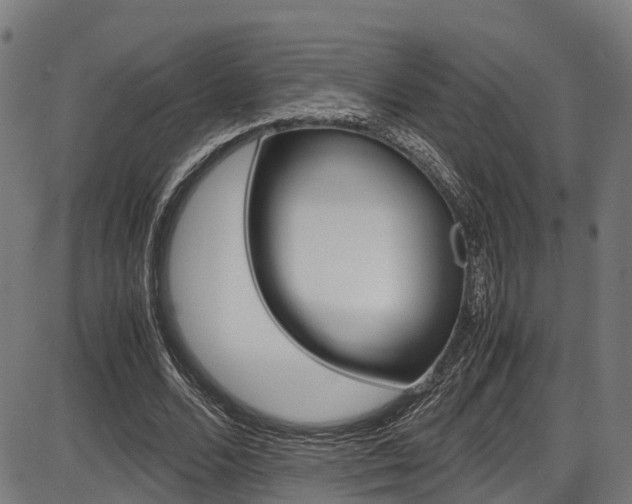 X0000087050680200704181003