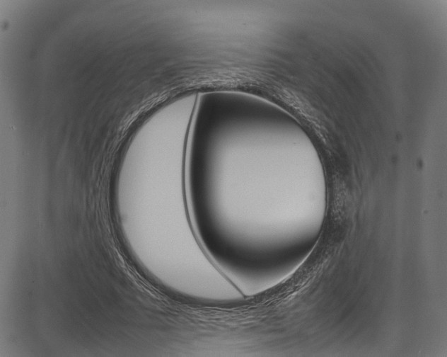 X0000087050681200704181003