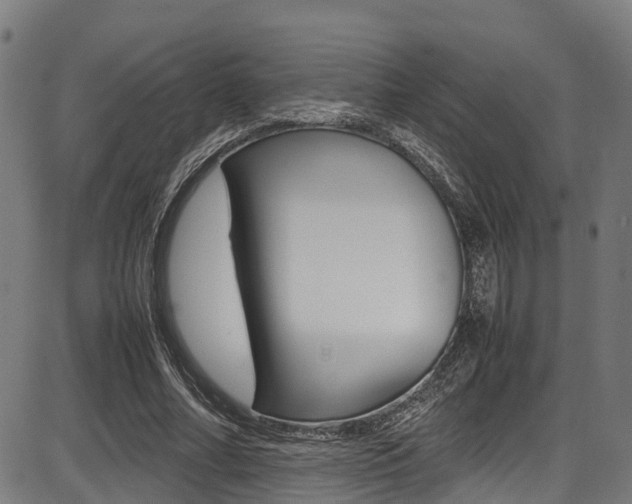 X0000087050682200704181003