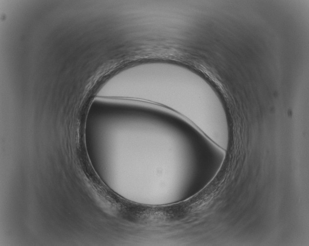X0000087050685200704181003