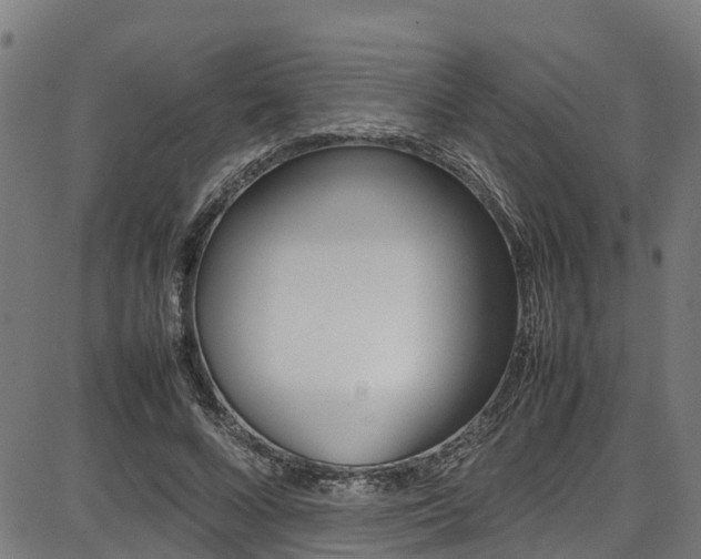 X0000087050688200704181002