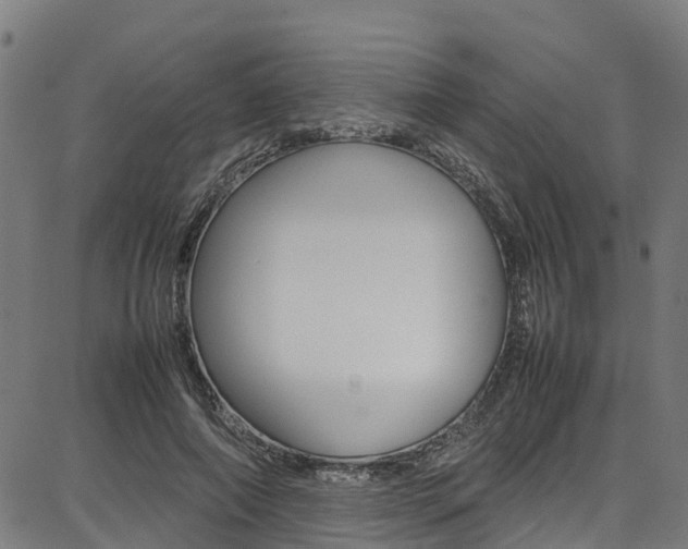 X0000087050690200704181002