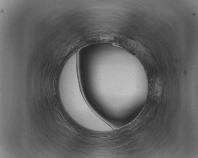 X0000087050704200704181002