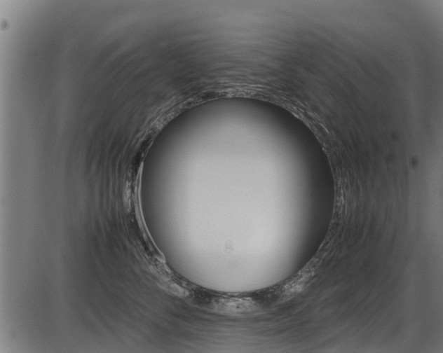 X0000087050716200704181002