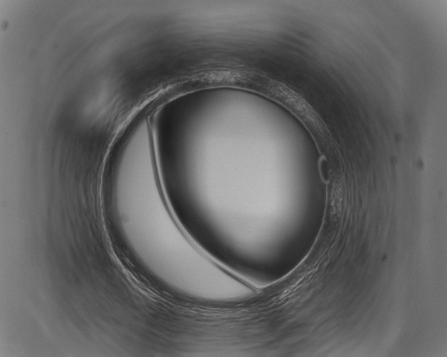 X0000087050722200704181001