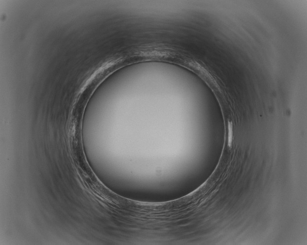 X0000087050723200704181001
