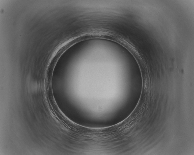 X0000087050724200704181001