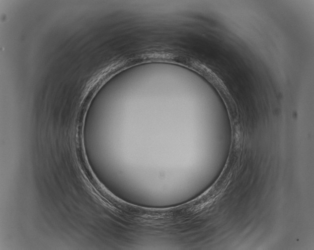 X0000087050725200704181001