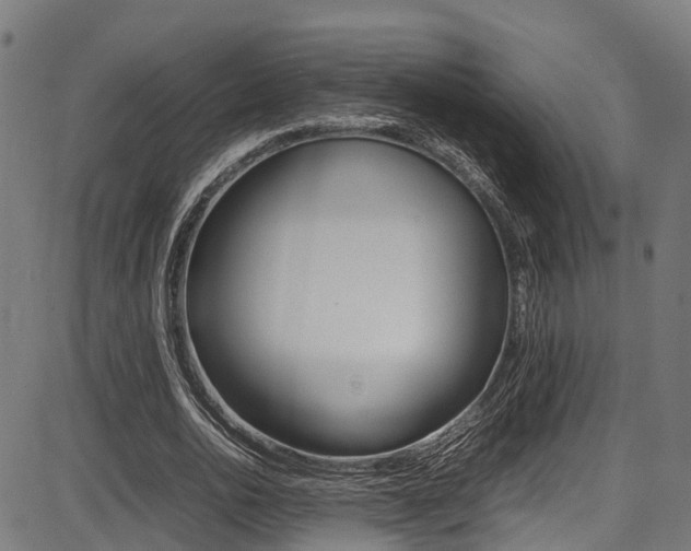 X0000087050726200704181001