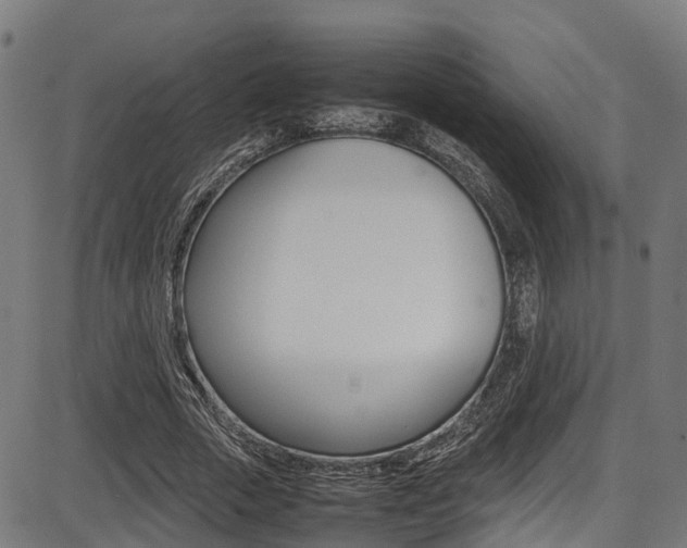 X0000087050729200704181001