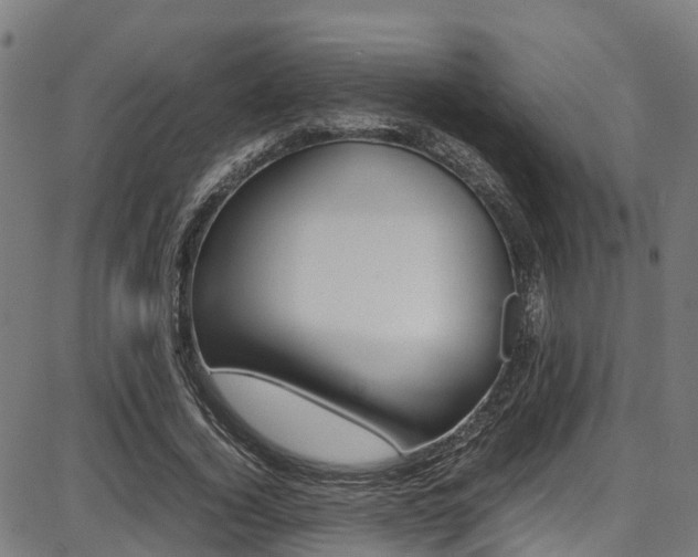 X0000087050732200704181001
