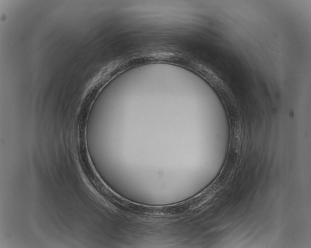 X0000087050734200704181001