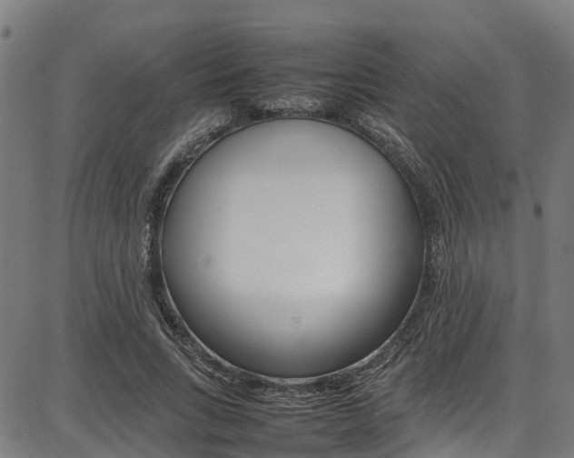 X0000087050735200704181001