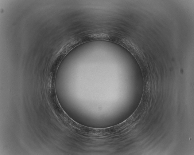 X0000087050739200704181001