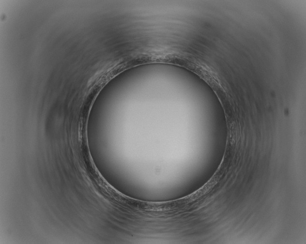 X0000087050740200704181001