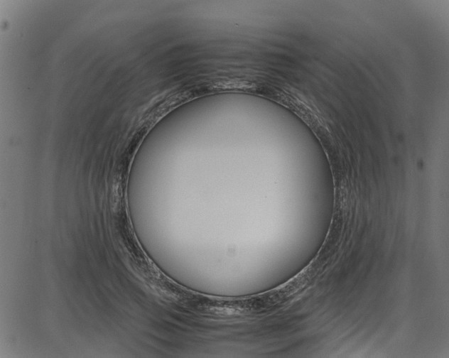 X0000087050741200704181001